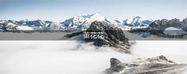 “出轨门”两年后，董花花的人生一地鸡毛，张大奕却翻身成阔太(董花花)