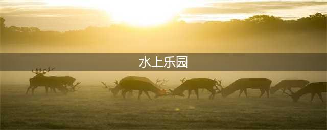 国内最好玩的8大水上乐园，不去海边也能浪(水上乐园)