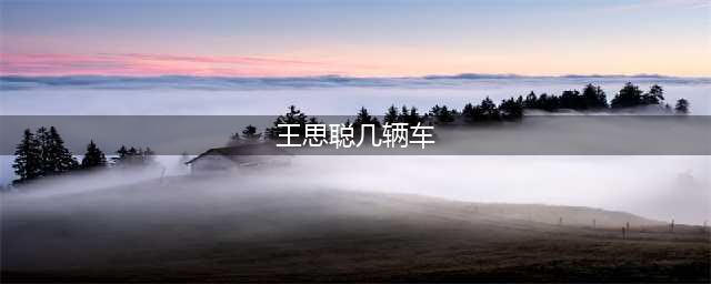 王思聪到底有几辆车？(王思聪几辆车)