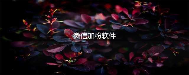 2024新版本WeTool企业版微信群发加人微兔工具软件官方下载安装及使用方法(微信加粉软件)