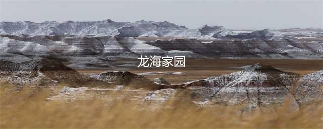 四万人居住的“超级小区”！深圳最大保障房社区在这里...(龙海家园)