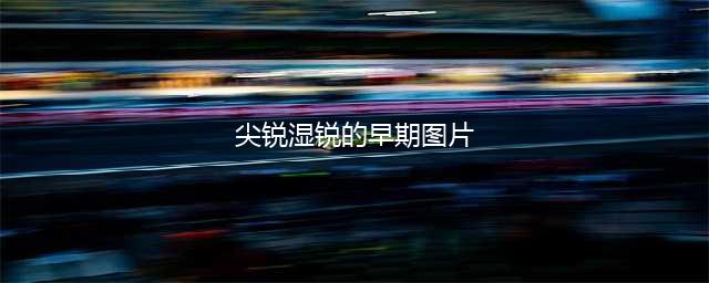 尖锐湿疣初期小疣体图片真实(尖锐湿锐的早期图片)