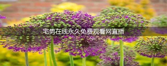 宅男看片神器  智能电视看游戏直播(宅男在线永久免费观看网直播)