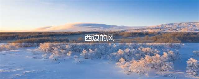 曝“西边的风”开恋童癖网站涉嫌猥亵未成年(西边的风)