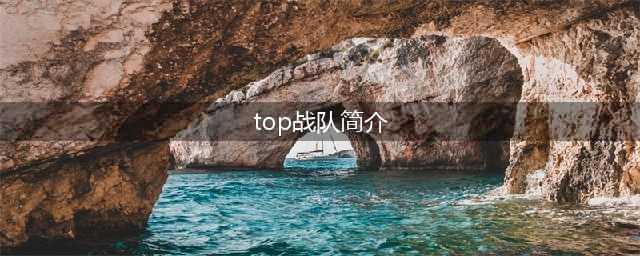 TOP战队成员 TOP战队成员资料(top战队简介)