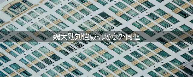 刘恺威，魏大勋机场偶遇，这至少五级吃瓜选手才懂的梗(魏大勋刘恺威机场意外同框)