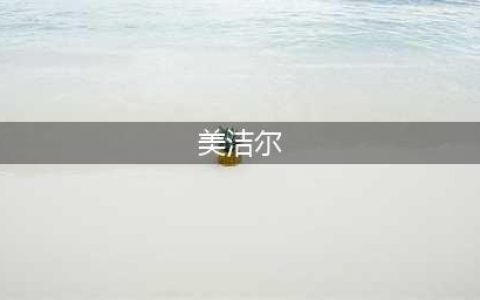 美洁尔冠状病毒感染预防和控制-食品加工设备清洁消毒(美洁尔)