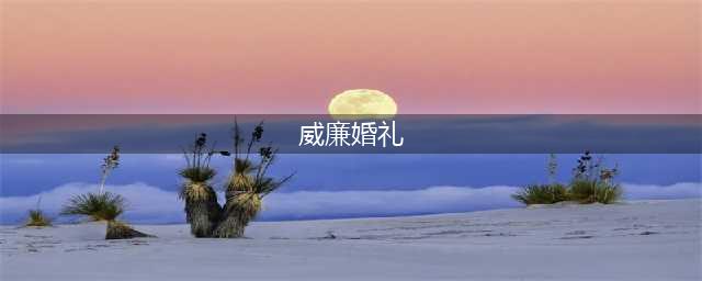 奢华！英国最贵单身汉今日大婚，新娘被起底，和凯特惊人相似…(威廉婚礼)