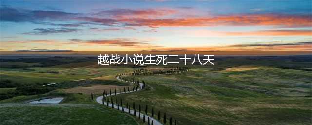 生死28天——前言(越战小说生死二十八天)