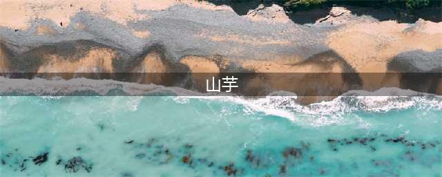 “山芋”和“红薯”有啥区别？很多人认为一样，其实二者差别很大(山芋)