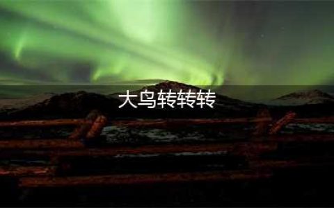 《赛博朋克2077》大鸟转转转在哪 大鸟转转转位置一览