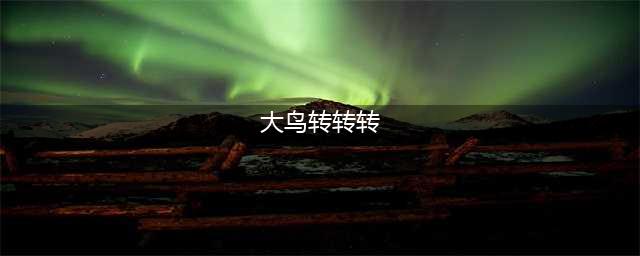 《赛博朋克2077》大鸟转转转在哪 大鸟转转转位置一览