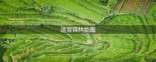 《奥比岛手游》迷雾森林地图路线一览(迷雾森林地图)