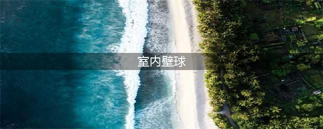 壁球 室内运动之王(室内壁球)