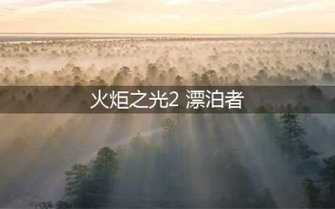 如何给火炬之光2漂泊者加点 漂泊者加点攻略(火炬之光2 漂泊者)