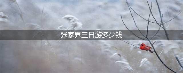 张家界3日游多少费用 ,超详路线+费用明细！只看这篇就够了！(张家界三日游多少钱)