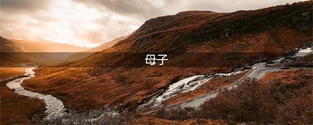 母亲情感无依托，走向母子不伦之恋(母子)