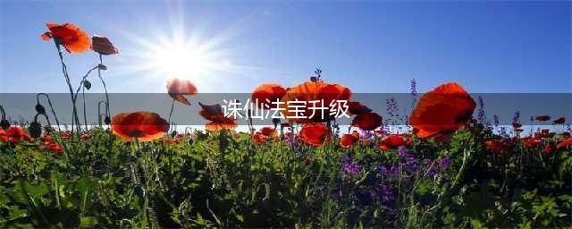 《梦幻新诛仙》法宝怎么升星 法宝升星方法分享(诛仙法宝升级)