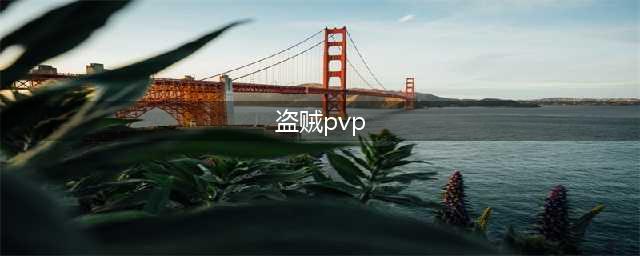 《魔兽世界怀旧服》盗贼PVP攻略 天赋加点推荐(盗贼pvp)