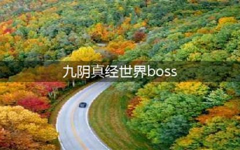 九阴真经3D世界BOSS怎么过 世界BOSS打法攻略