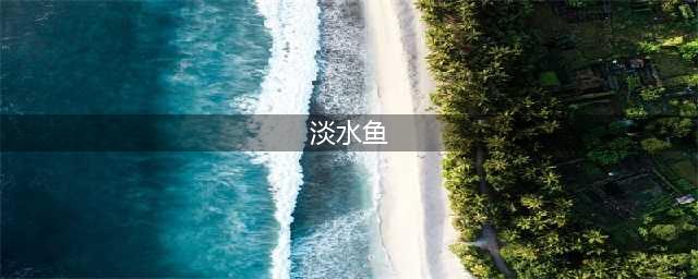 常见的淡水鱼(淡水鱼)
