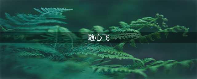 深度揭秘：各大航司“随心飞”，究竟哪家真实惠？【寻路记】(随心飞)