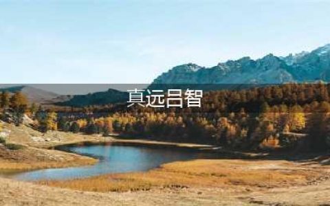 《无双大蛇3》远吕智怎么玩 远吕智玩法技巧攻略大全(真远吕智)