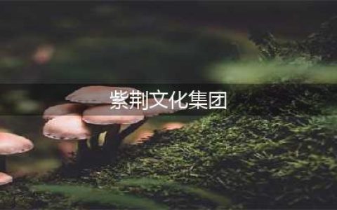 又一家央企落户深圳，凤凰卫视第一大股东紫荆文化集团将设深港双总部！(紫荆文化集团)