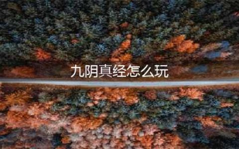 《九阴真经》皇城危机怎么玩 皇城危机玩法分享(九阴真经怎么玩)