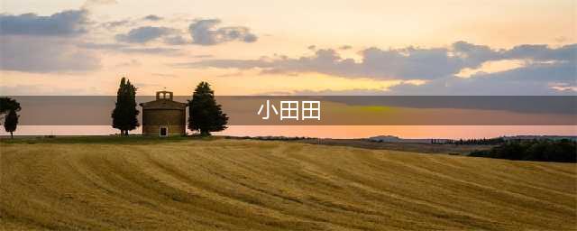《微信小田田》攻略汇总：新手必备发展技巧(小田田)