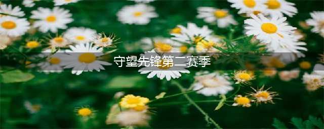 《守望先锋》第二赛季国服排名(守望先锋第二赛季)