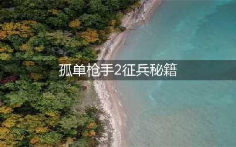 《孤胆枪手2征兵》秘籍有哪些 秘籍大全(孤单枪手2征兵秘籍)