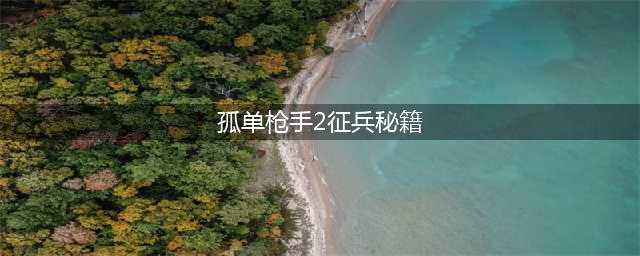 《孤胆枪手2征兵》秘籍有哪些 秘籍大全(孤单枪手2征兵秘籍)
