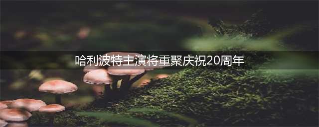 哈利波特主演将重聚庆祝20周年(哈利波特主演将重聚庆祝20周年)