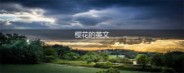 Sakura? “樱花” 的英文可别说错！(樱花的英文)