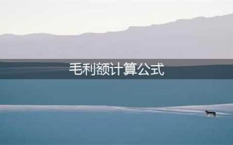毛利率计算公式(毛利额计算公式)