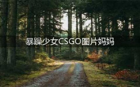 虎牙CSGO美女主播暴暴熊直播首秀，勾破黑丝观众直呼顶不住(暴躁少女CSGO图片妈妈)