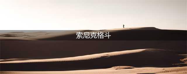 《审判之逝湮灭的记忆》大型机台游戏索尼克格斗打法技巧攻略(索尼克格斗)