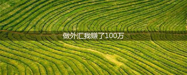 一位外汇交易员的创富史——12个月赚数百万美元(做外汇我赚了100万)