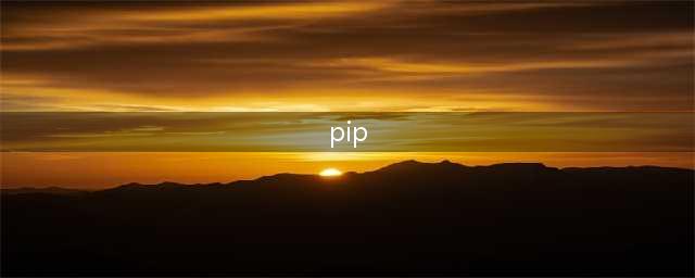 老板要求我执行PIP，PIP的真正意思是什么？(pip)