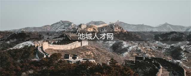 请查收，2023年池州市重点人才项目集中申报攻略来啦(池城人才网)