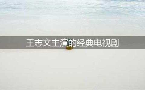 王志文评分最高6部剧集：《叛逆者》仅排第5，第一豆瓣高达9.3分(王志文主演的经典电视剧)