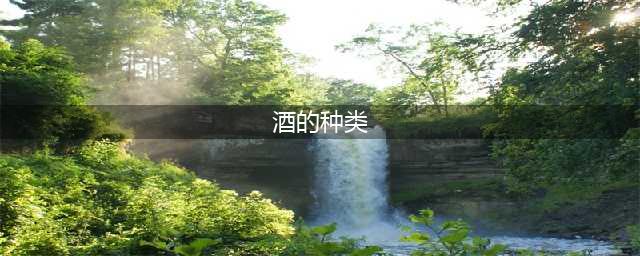 史上最全的酒水分类大全，建议收藏！(酒的种类)