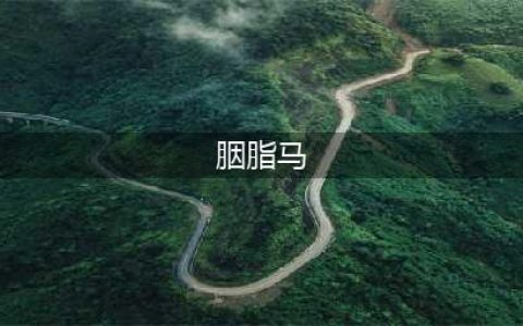 《九阴真经》坐骑胭脂马怎么样 坐骑胭脂马介绍(胭脂马)