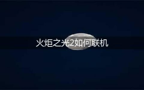 《火炬之光2》怎么联机 联机方法介绍(火炬之光2如何联机)