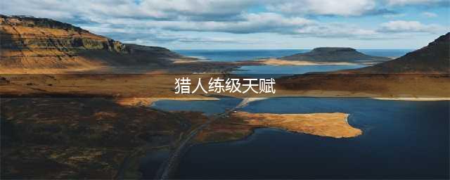 《魔兽世界》wlk猎人练级天赋加点攻略分享