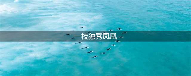 寒冬一枝独秀 《凤凰心计》腊梅送师友(一枝独秀凤凰)