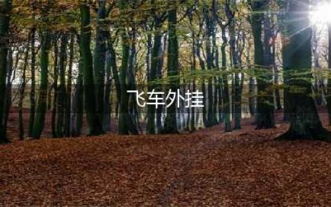 《qq飞车手游》外挂是真的吗 QQ飞车外挂介绍(飞车外挂)