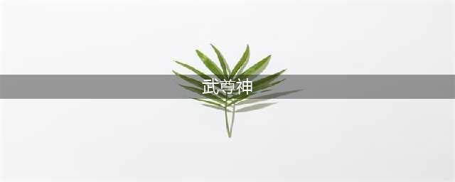 大话西游武尊神怎么的角色 大话西游武尊神人物介绍