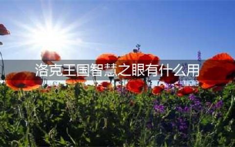 洛克王国智慧之理活动怎么玩 智慧之理活动通关攻略(洛克王国智慧之眼有什么用)